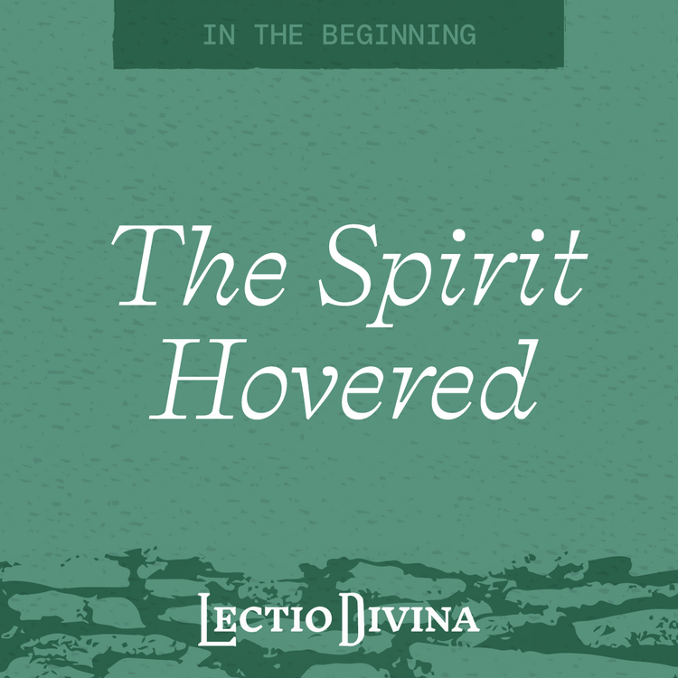 The Spirit Hovered artwork