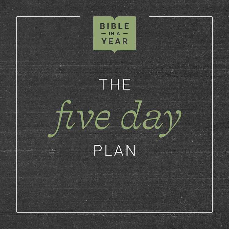 BIY: The 5 Day Plan artwork