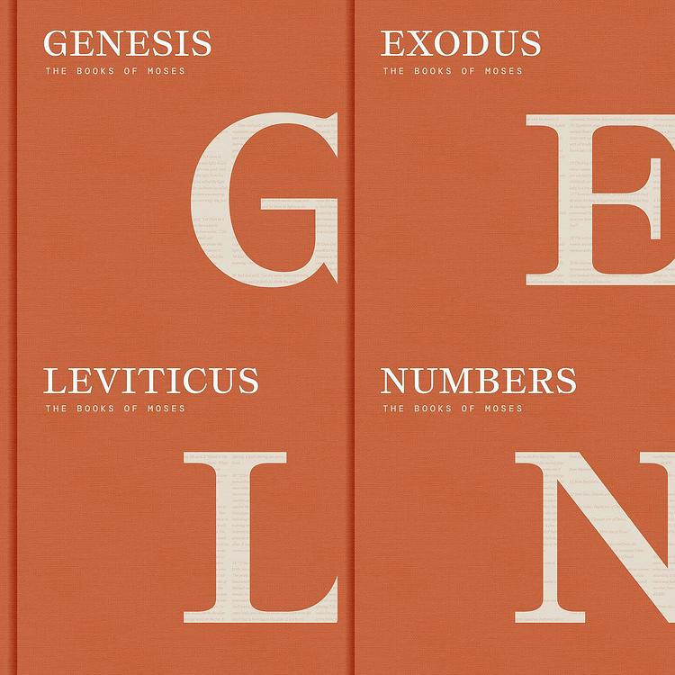 Bible in 90 Days artwork