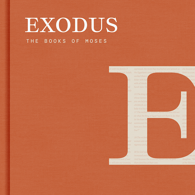 Exodus 10-20 artwork