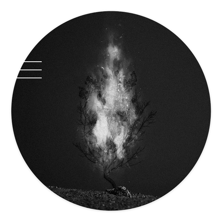 On Fire Yet Not Consumed artwork