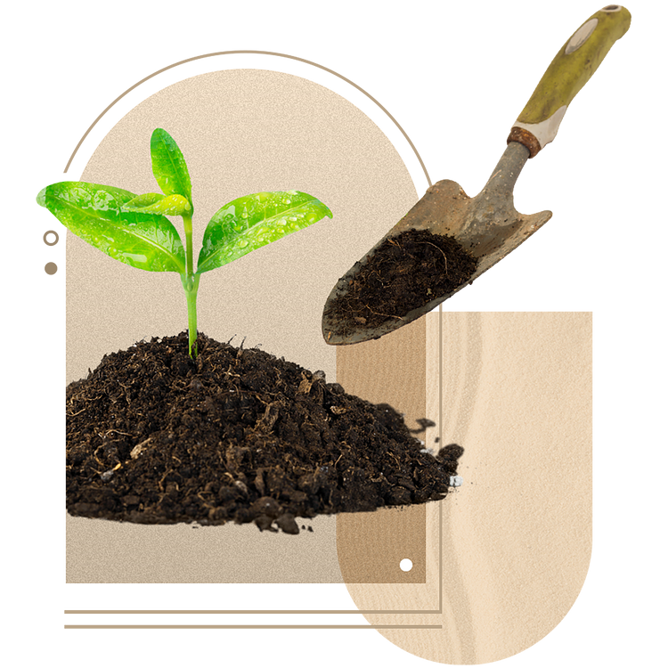 Cultivating the Soil and Soul artwork